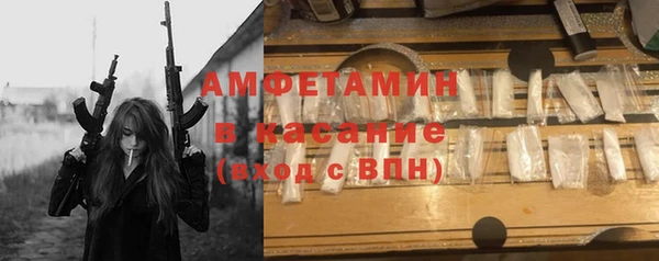хмурый Алексин