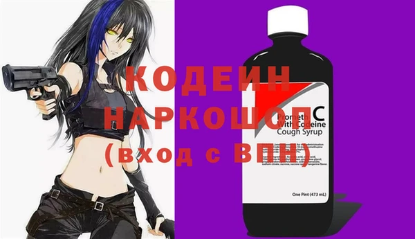 хмурый Алексин