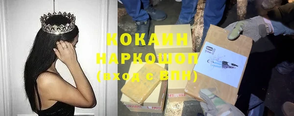хмурый Алексин