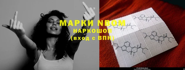 хмурый Алексин